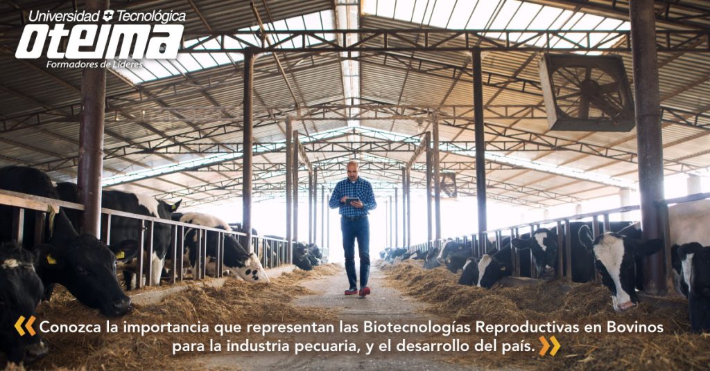 Especialización En Biotecnologías Reproductivas En Bovinos ...